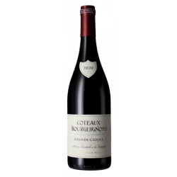 COTEAUX BOURGUIGNON -...