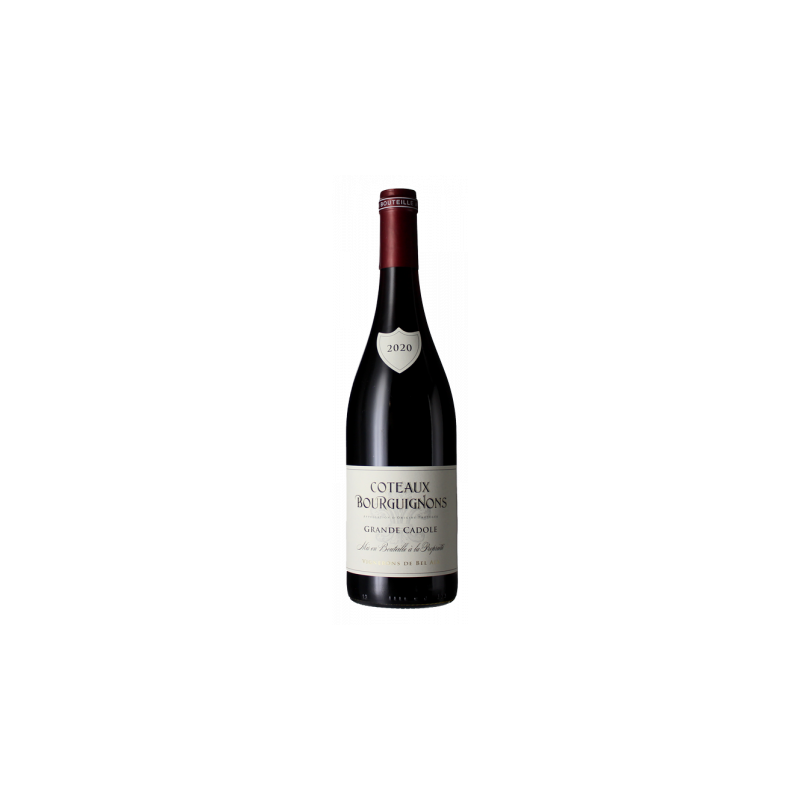 COTEAUX BOURGUIGNON - DUPERRAY JEAN-BAPTISTE - LES 2 COMPLICES 2021