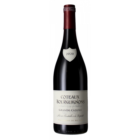 COTEAUX BOURGUIGNON - DUPERRAY JEAN-BAPTISTE - LES 2 COMPLICES 2021