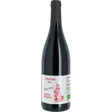 BEAUJOLAIS - ANTHONY PEROL - BIEN ELEVE 2019